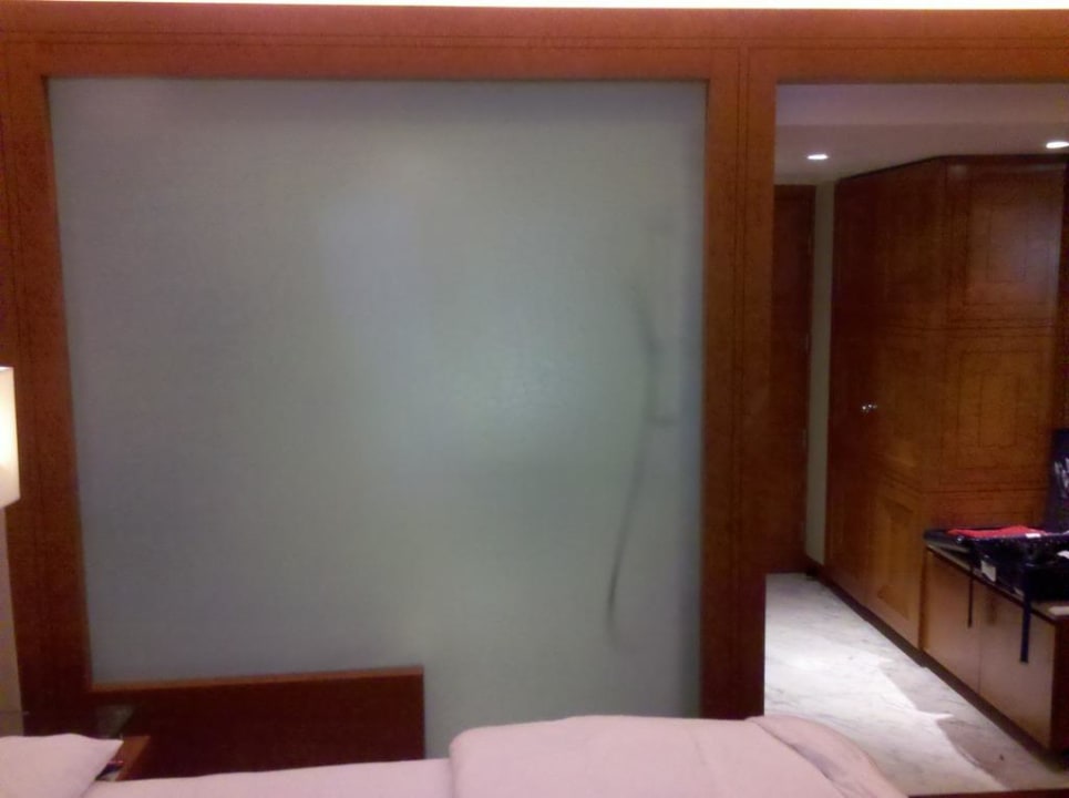 Trennwand zum Bad Hotel Hyatt Regency Delhi