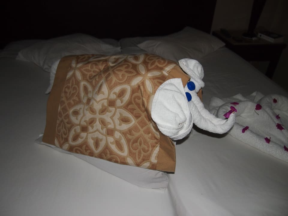 Jeden Tag was neues Jaz Dar EL Madina