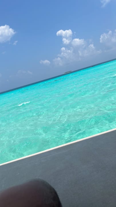 Ausblick Hotel Riu Palace Maldivas