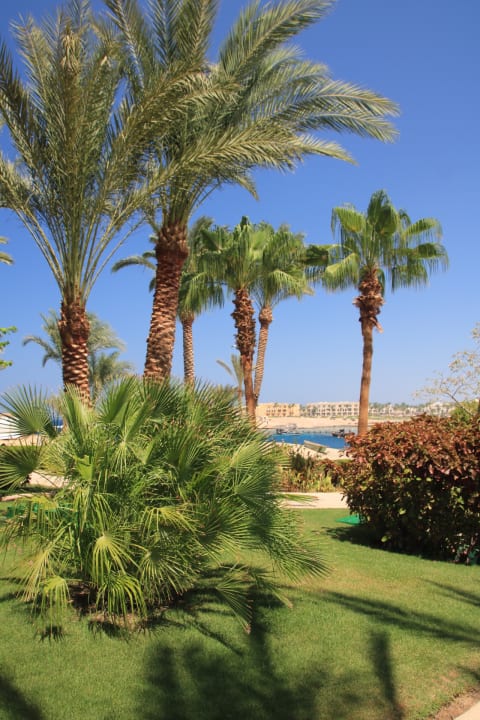 Strand Steigenberger Coraya Beach - Adults only