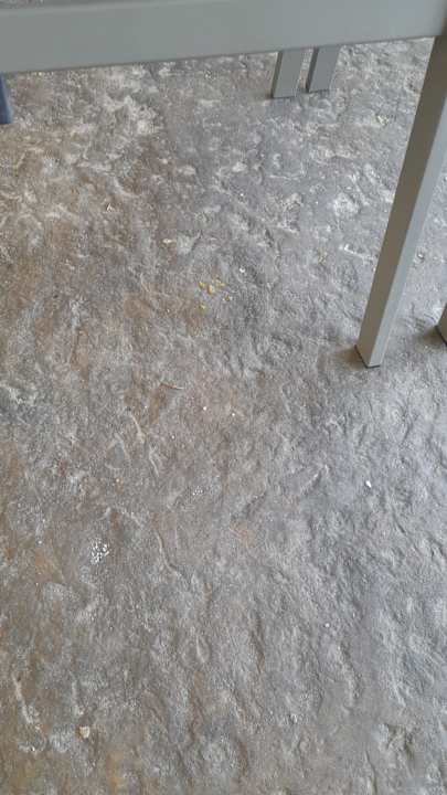 Gastro Hotel Borjana