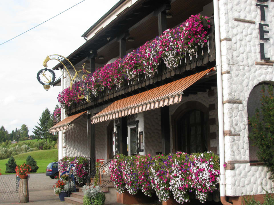 Schöne Blumen Hotel Gasthof Anker