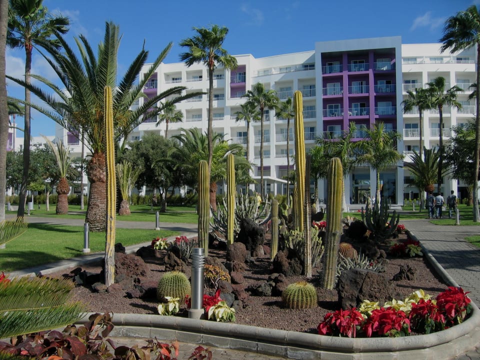 Blick vom Garten zum Hauptgebäude Hotel Riu Gran Canaria