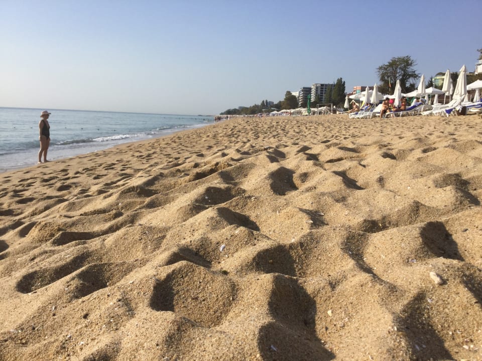 Strand Sentido Marea