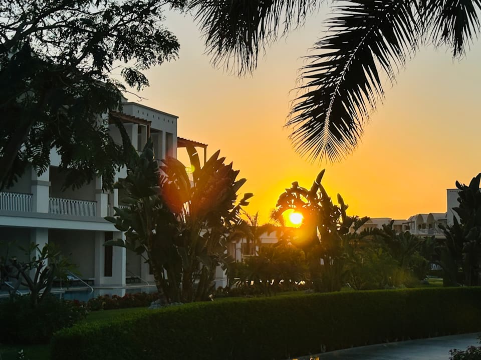 Außenansicht Steigenberger Resort Alaya Marsa Alam - Red Sea - Adults only