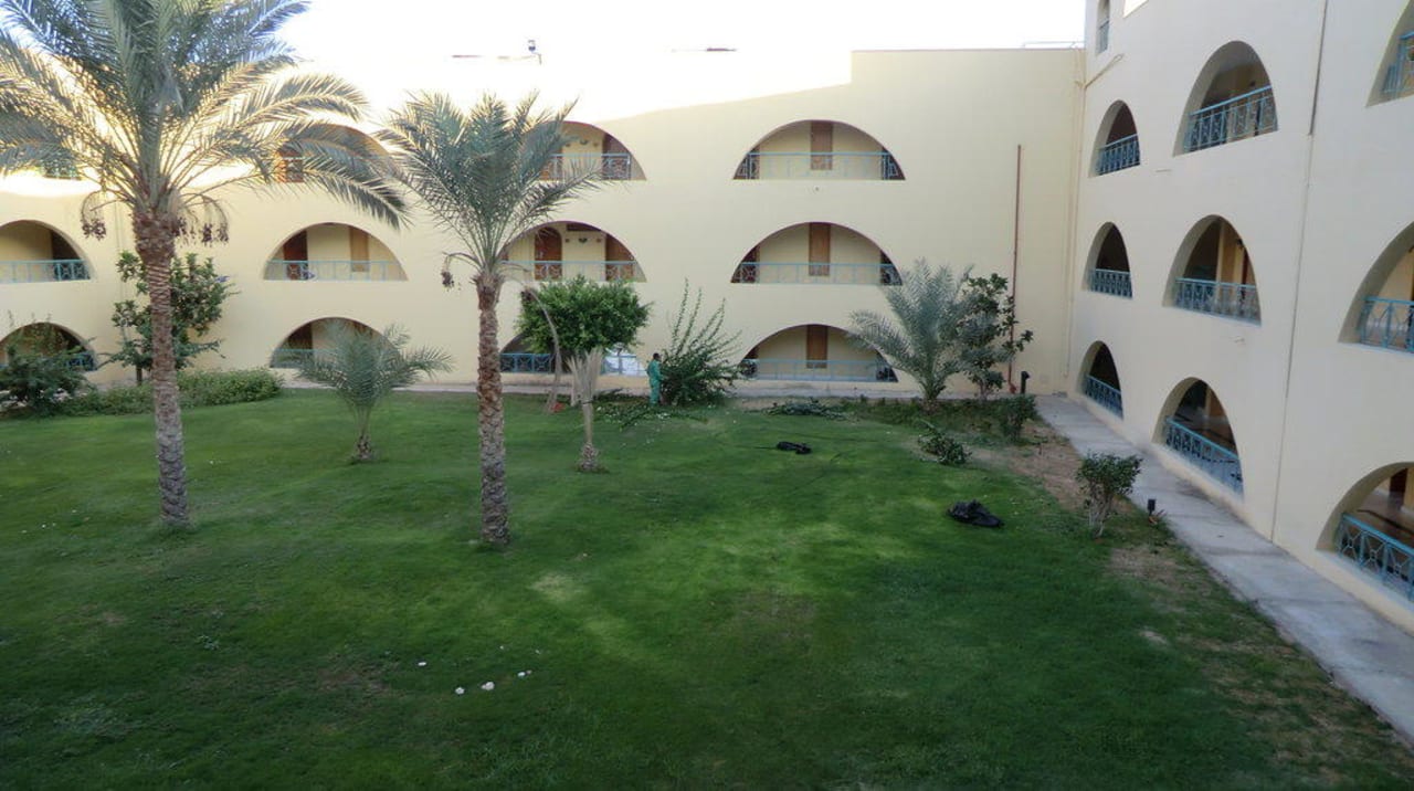 Innenhof Desert Rose