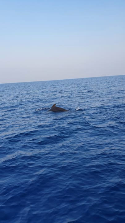 Sport & Freizeit Cinnamon Dhonveli Maldives