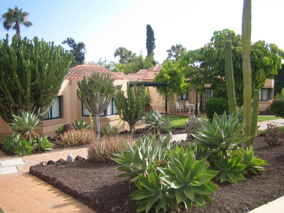 Die Bungalows allsun Hotel Esplendido