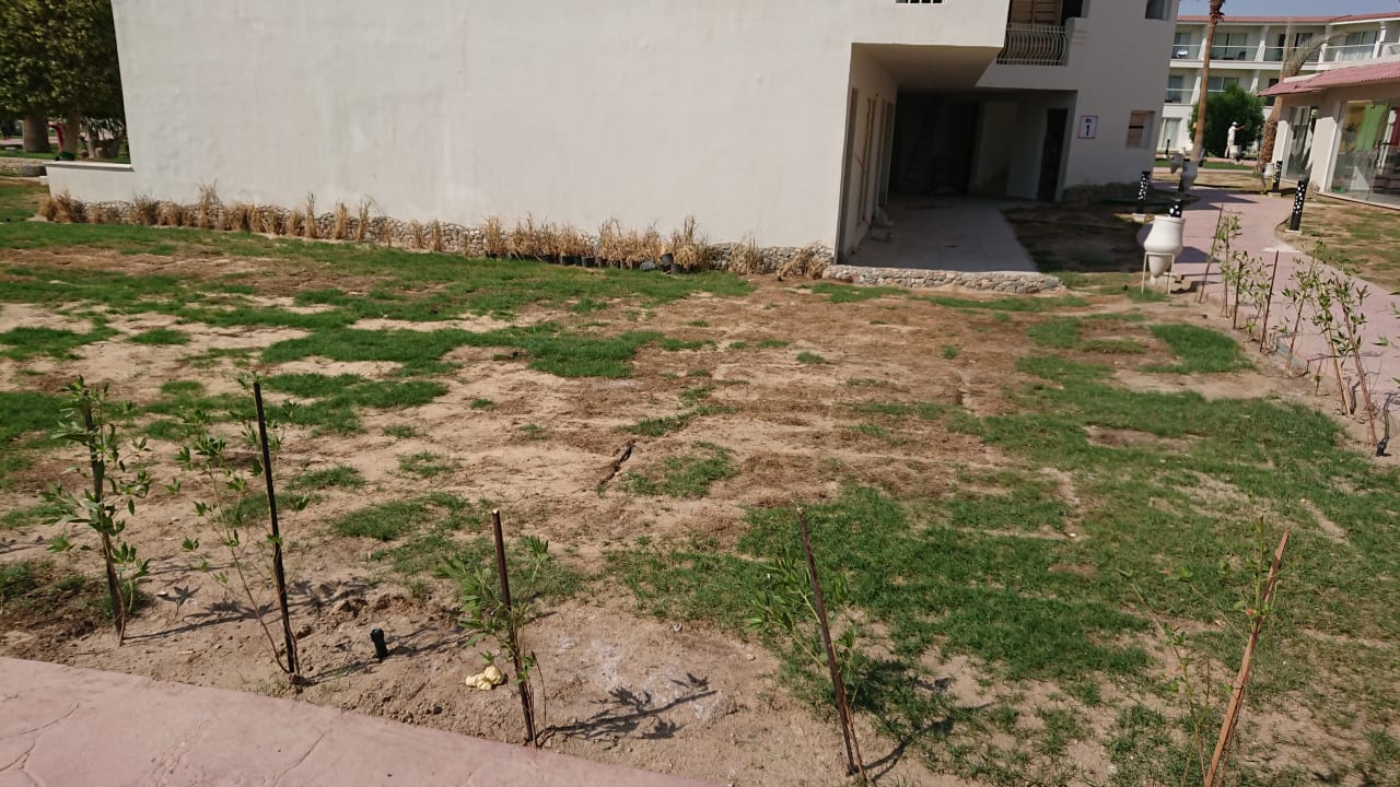 Gartenanlage Amarina Abu Soma Resort & Aquapark