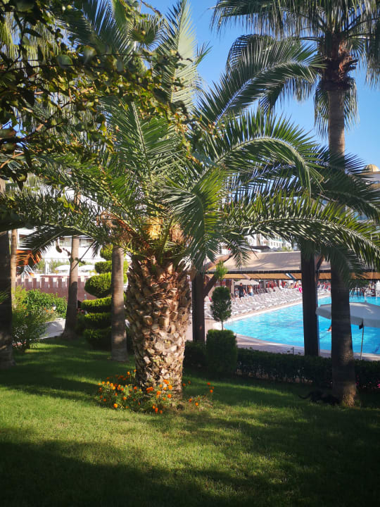 Pool Aydinbey Kings Palace & Spa