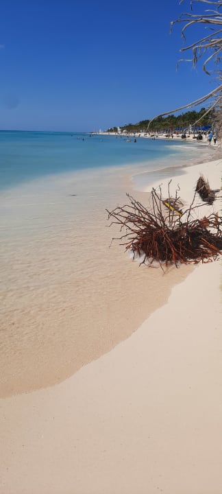 Strand Viva Azteca by Wyndham - All Inclusive Resort