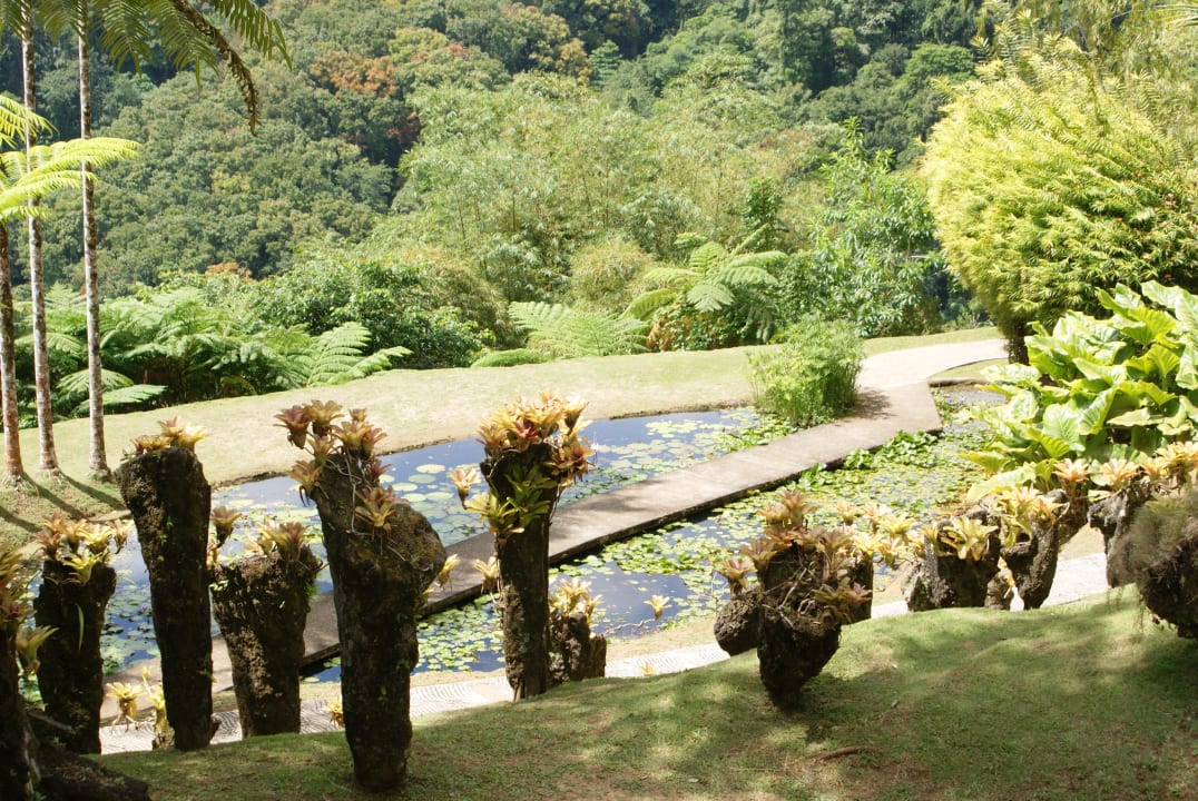 Jardin de balata Carayou Hotel & Spa