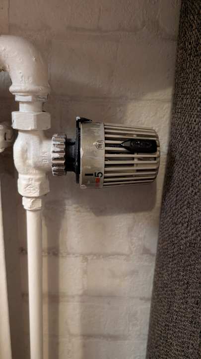 Zimmer Pharos zur Seeve