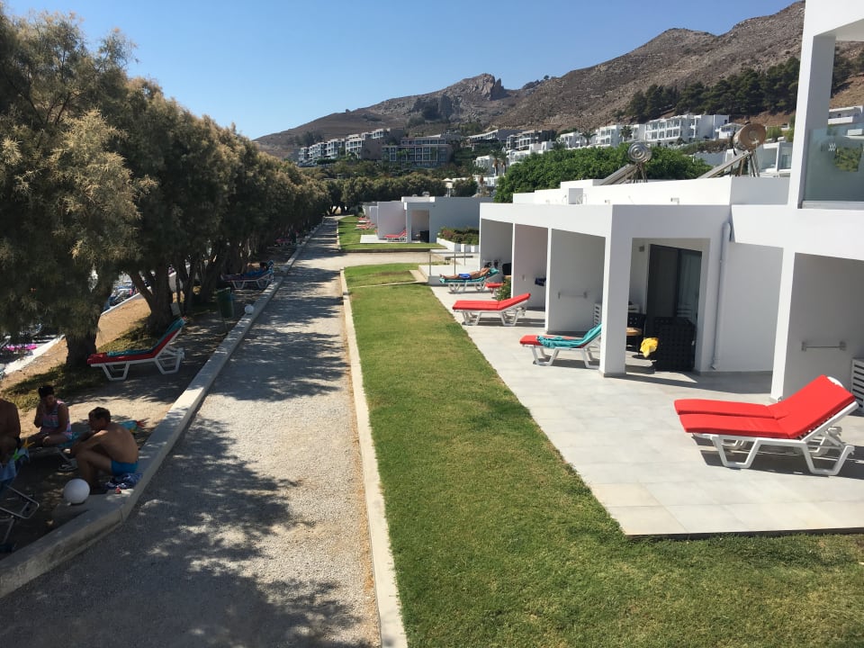 Zimmer Dimitra Beach Hotel & Suites