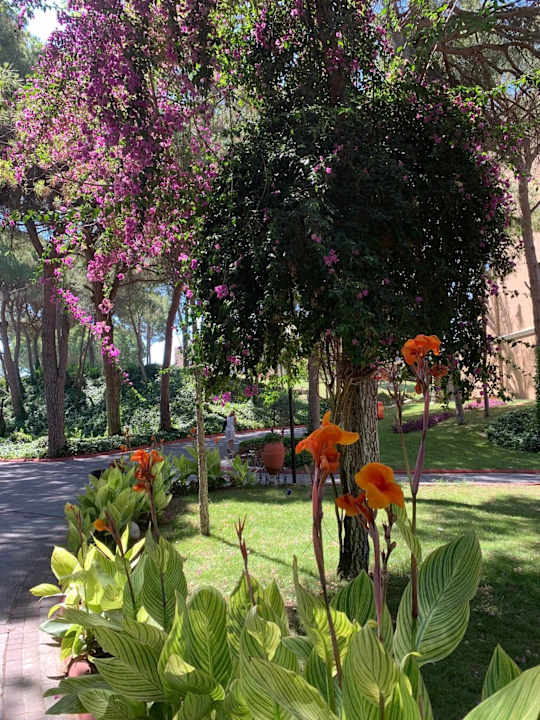 Gartenanlage Limak Limra Hotel & Resort