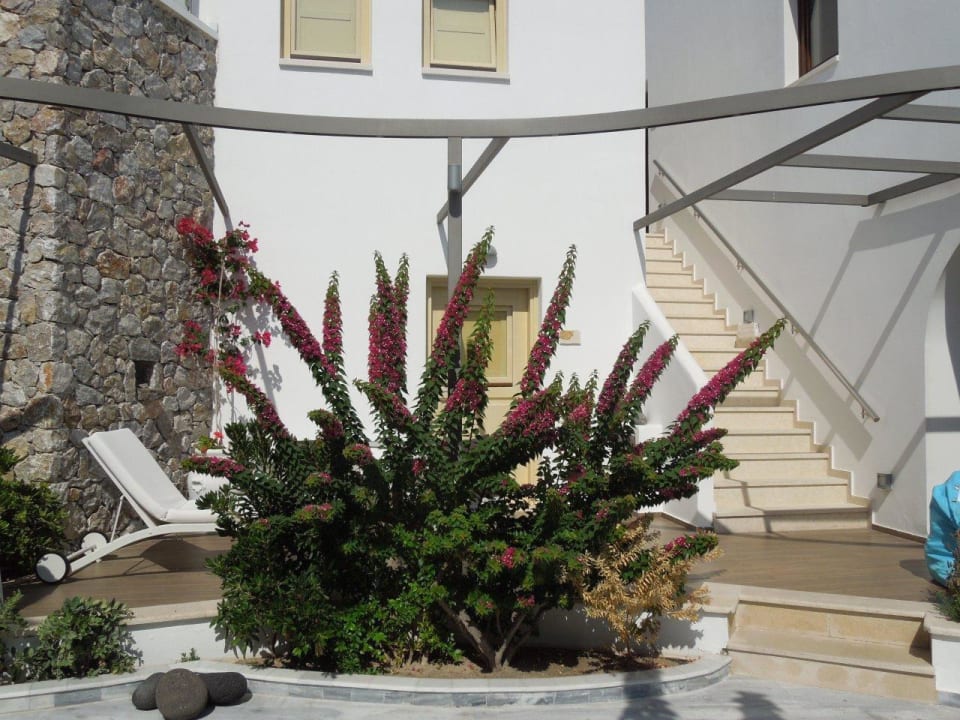 Blumen La Mer Deluxe Hotel & Spa - Adults only