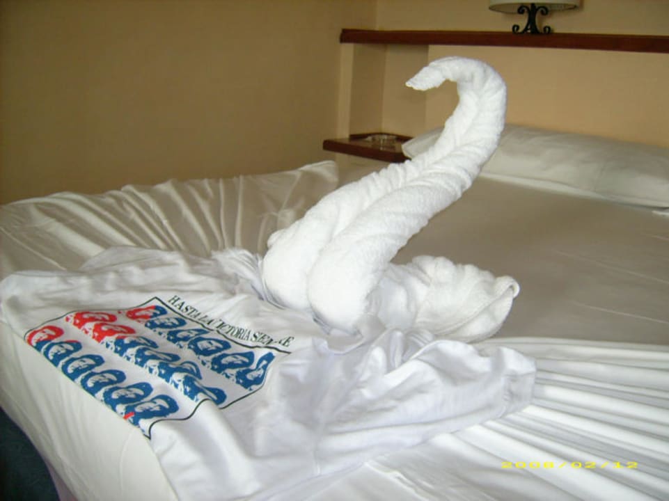 Schwan erstellt durch das Zimmermädchen Melia Las Antillas - Adults only