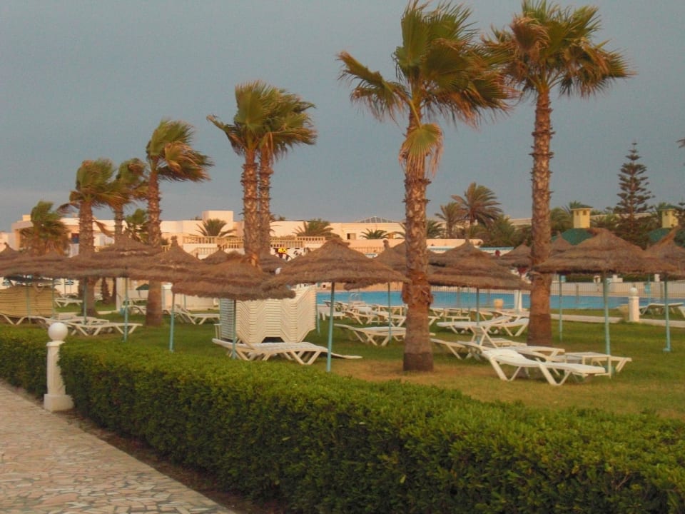 Przy basenie Hotel Amir Palace