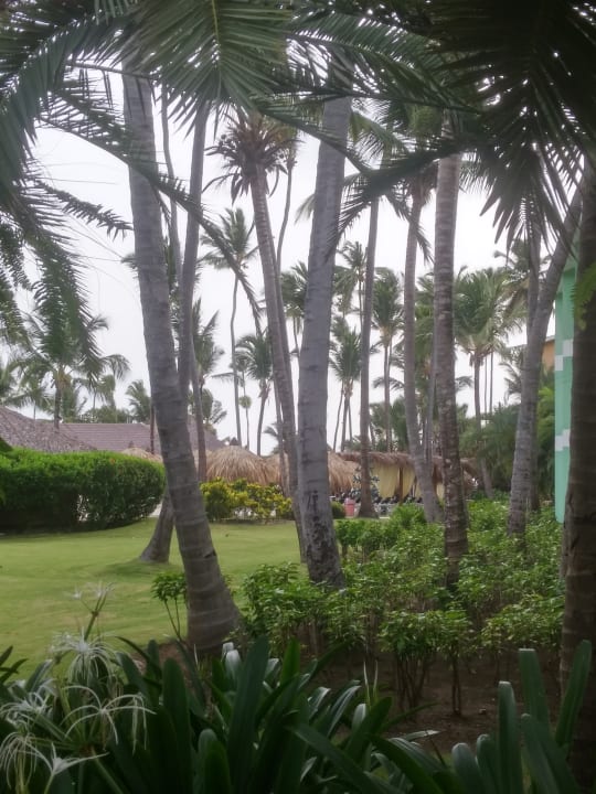 Gartenanlage Hotel Grand Palladium Palace Resort, Spa & Casino