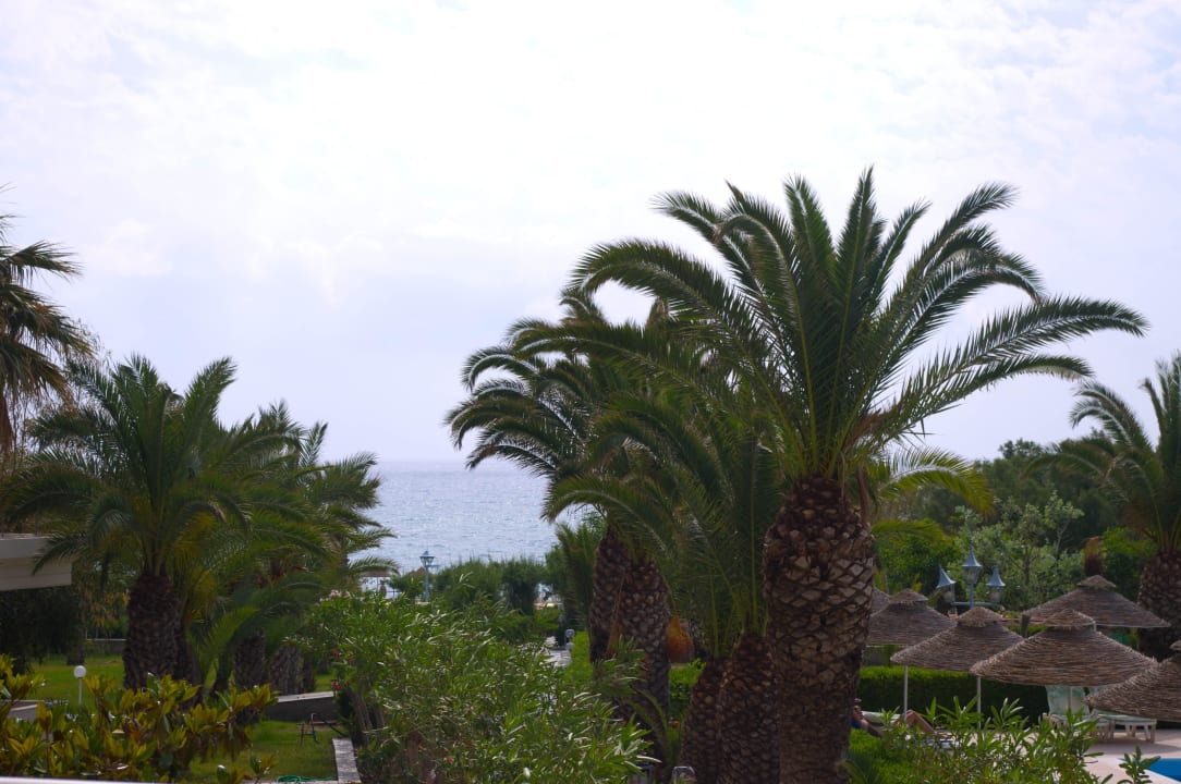 Taras Pegasos Deluxe Beach Hotel