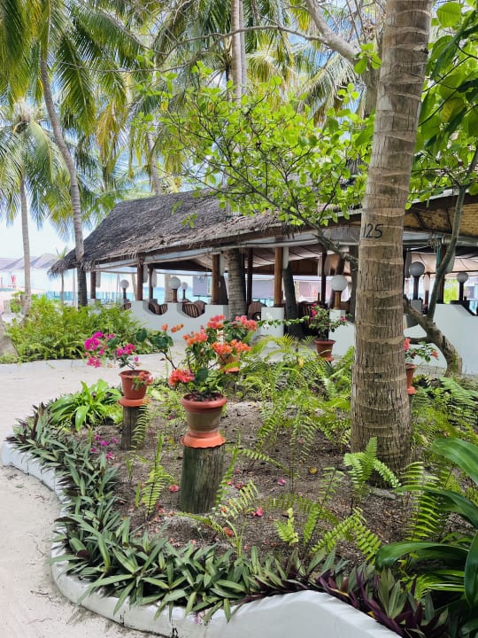 Gartenanlage Thulhagiri Island Resort