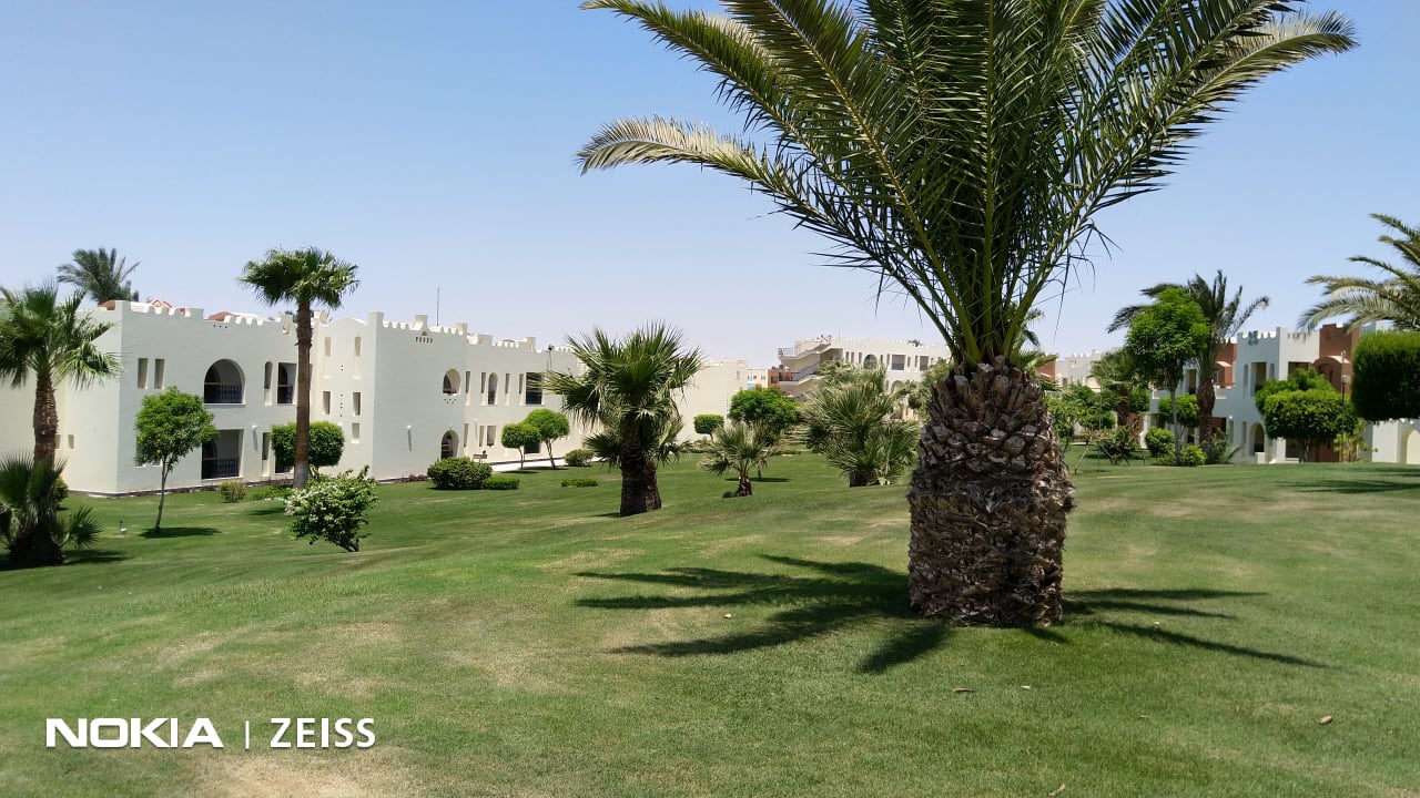 Gartenanlage SUNRISE Royal Makadi Resort