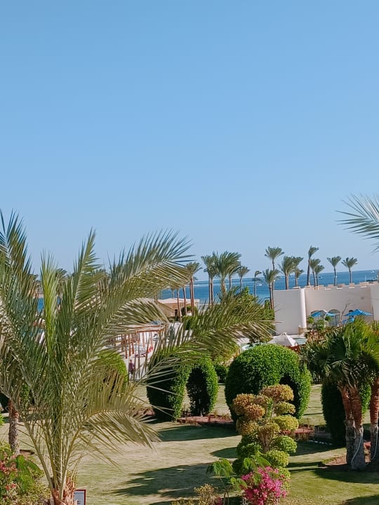 Außenansicht Cleopatra Luxury Resort Makadi Bay