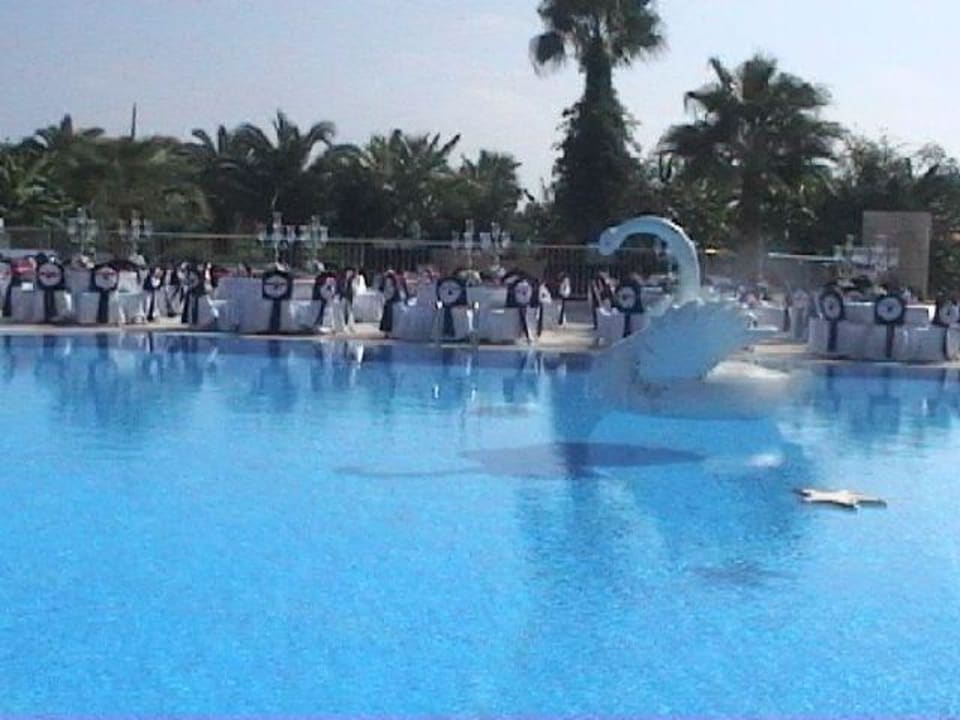 Deko am Aktivpool am Gala Abend VONRESORT Golden Coast