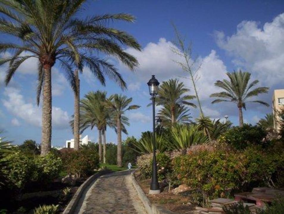 schones Garten im Costa Calma Beach Resort SBH Costa Calma Beach Resort