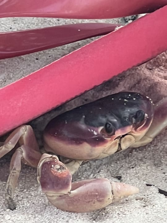 Strand Sol Rio De Luna y Mares
