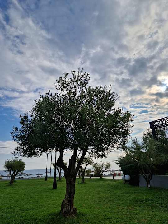 Gartenanlage alltoura Club Hotel Poseidon Palace