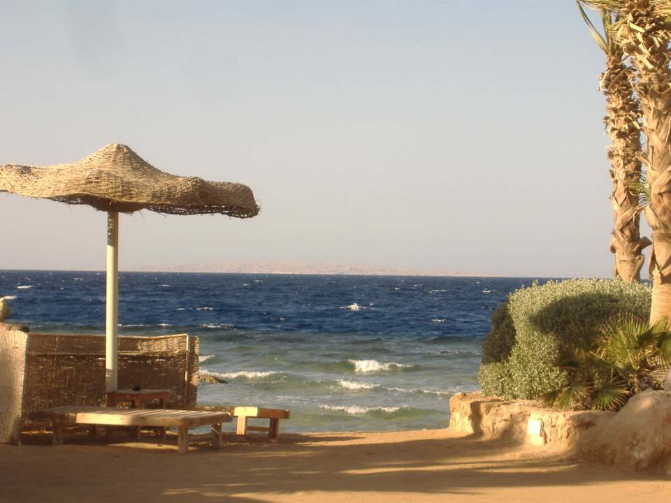Liegen am Strand mit Sonnen und Windschutz Pickalbatros Citadel Resort