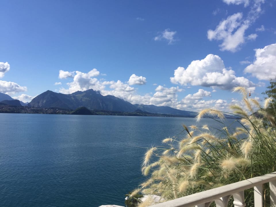 Ausblick Beatus Wellness- & Spa-Hotel