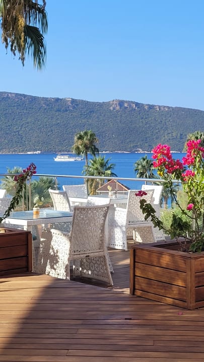 Gastro TUI MAGIC LIFE Bodrum - Adult Only (16+)