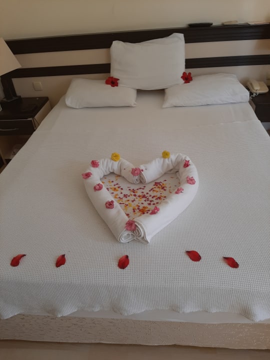 Zimmer Hotel Orfeus Park