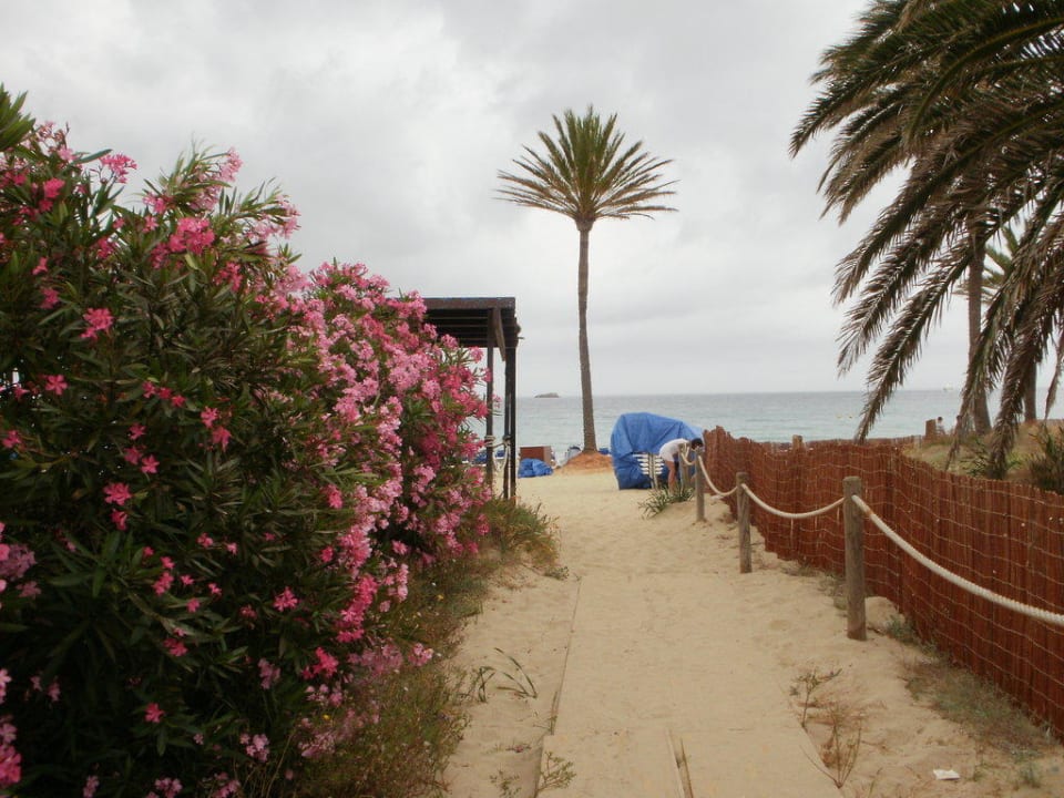 Weg zum Strand FERGUS Style Bahamas