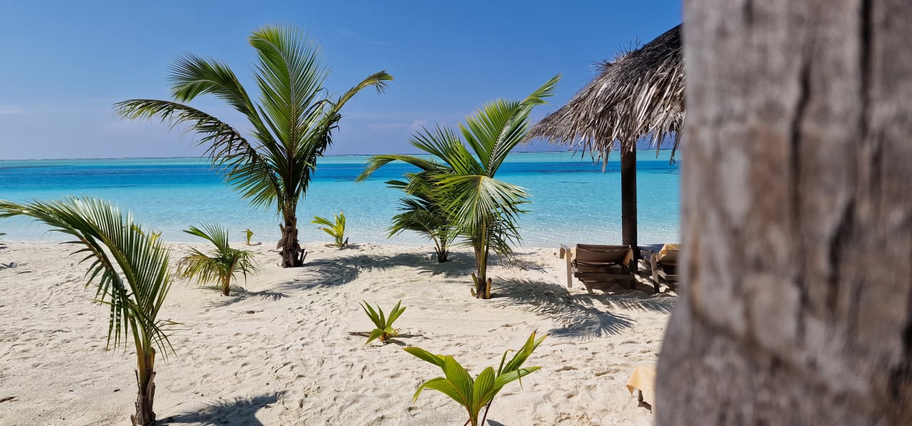 Ausblick Hotel Riu Atoll