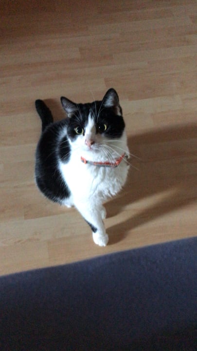 Ausblick Hotel Delphin Imperial