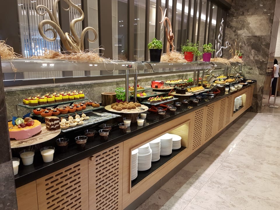 Gastro Seashell Vega