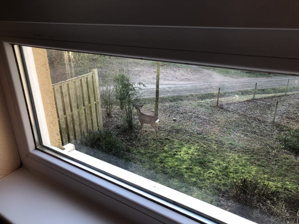 Ausblick Center Parcs Park Bostalsee