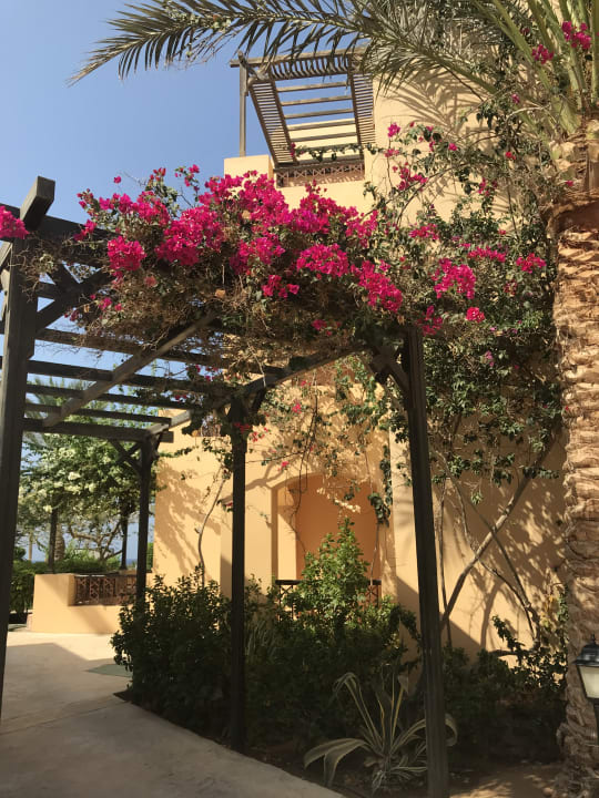 Sonstiges Steigenberger Coraya Beach - Adults only