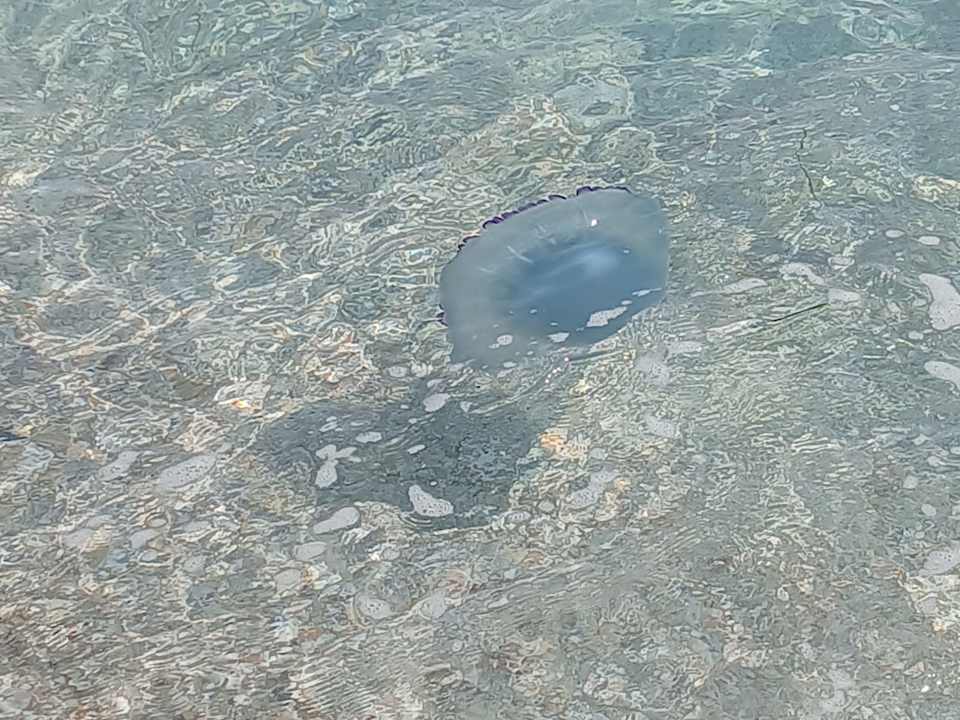 Strand Hotel El Borj