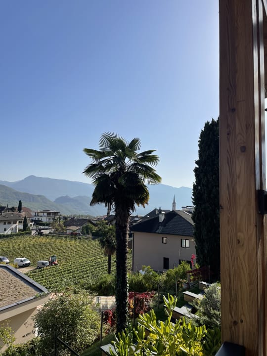 Ausblick Hotel Torgglhof