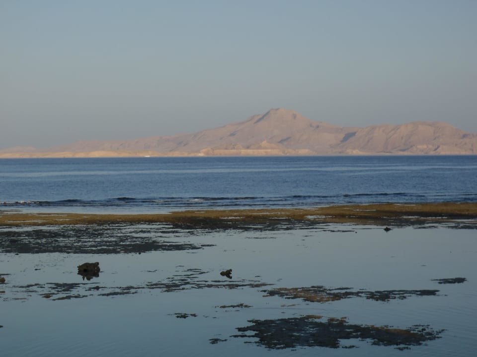 Strand am Abend - der kommt in diesen Breiten früh TUI MAGIC LIFE Redsina Sharm El Sheikh