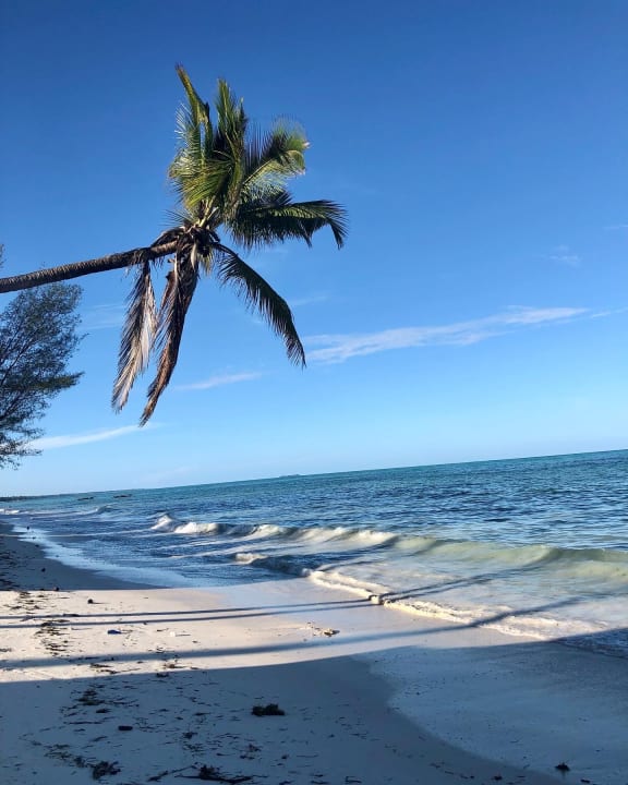 Strand Ocean Paradise Resort & Spa