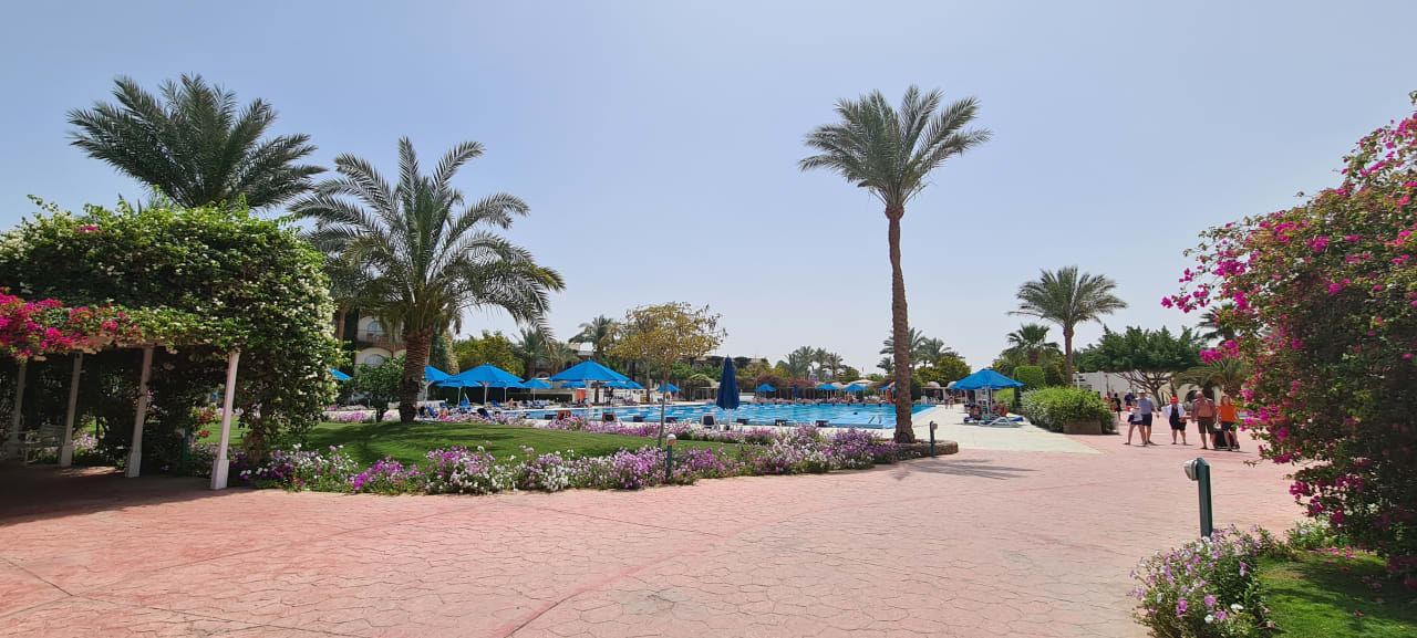 Gartenanlage Desert Rose