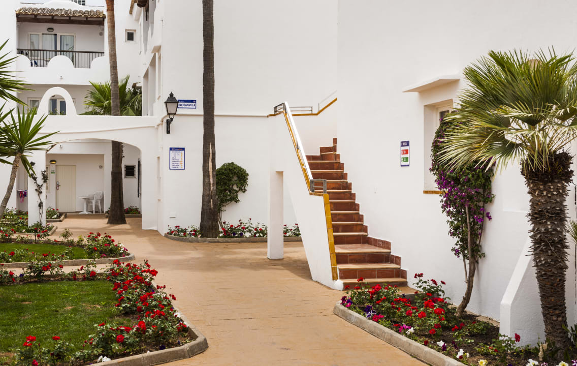 Sonstiges Globales Bouganvilla