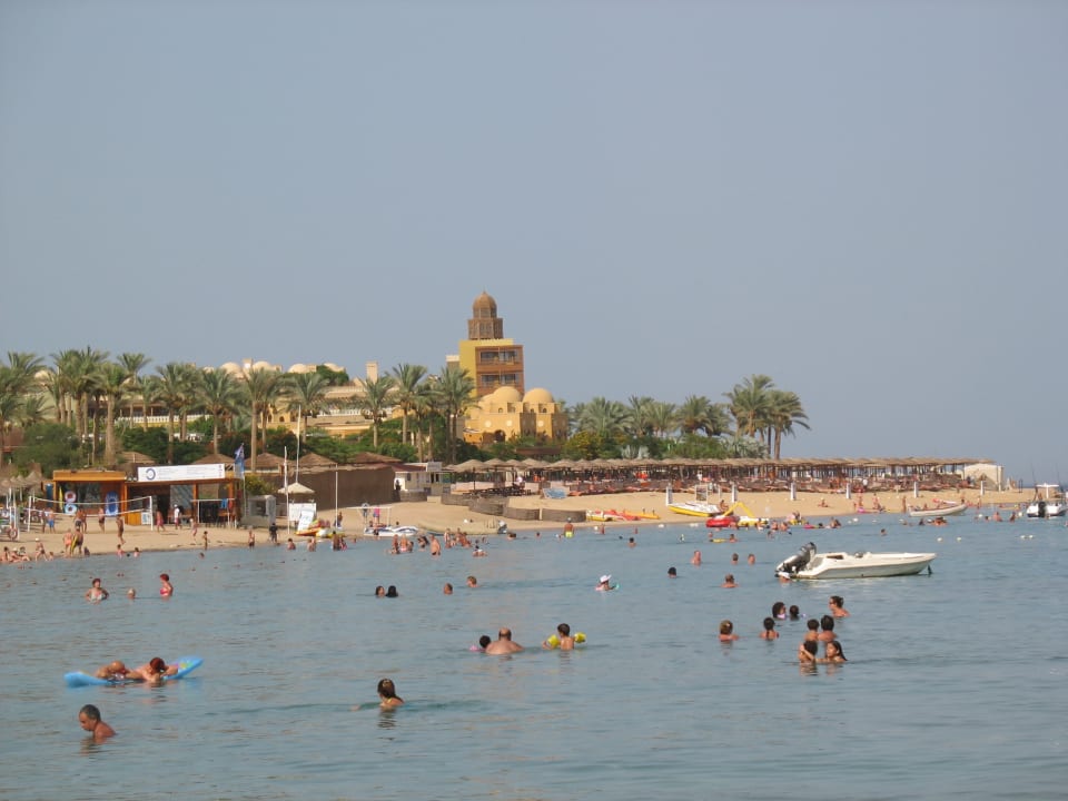 Alle im Wasser zum Schnorcheln Fort Arabesque Resort, Spa & Villas