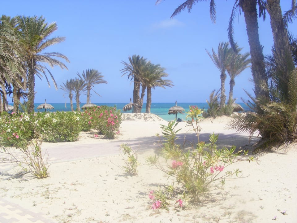Strandlage  Hotel El Mouradi Djerba Menzel