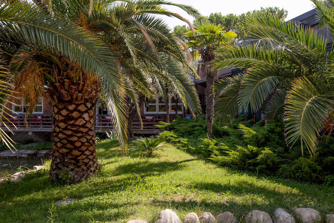 Gartenanlage Camping Village Lake Placid